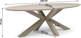 Dining Tuintafel ovaal 240 x 120 cm Taupe Lunea