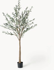 Kunstplant Olive Tree
