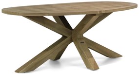 Dining Tuintafel ovaal 240 x 120 cm Teak Old teak greywash Boston