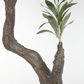 Kave Home Olive Tree Kunst Olijfboom 140 Cm