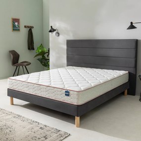 Bultex primo schuimmatras 20 cm, Succès