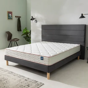 Bultex primo schuimmatras 20 cm, Succès
