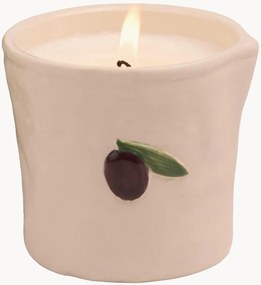 Geurkaars Paddywax Fig & Olive in geschenkdoos