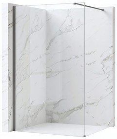 Walk-in douchewand Rea Flexi Transparent / Titan 100