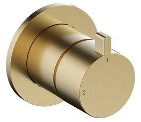 Hotbath ACE 2-weg omstelknop messing geborsteld PVD