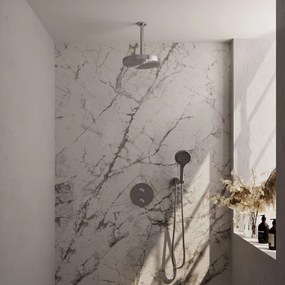 Brauer Stripe inbouw regendouche rond met 25cm hoofddouche, plafondarm en 3 standen handdouche set 42 RVS geborsteld PVD