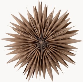 Kerst LED lichtobject Elijas Star