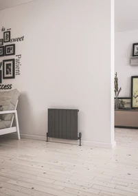 Eastbrook Addington type 10 radiator 60x50cm staal 473W antraciet