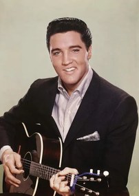 Kunstfotografie Elvis Presley, (30 x 40 cm)
