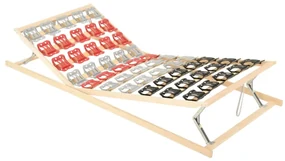 vidaXL Bedframe 12 latten verstelbaar hoofd- en voeteneinde 100x200 cm