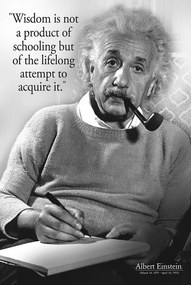 Poster Einstein - Wisdom