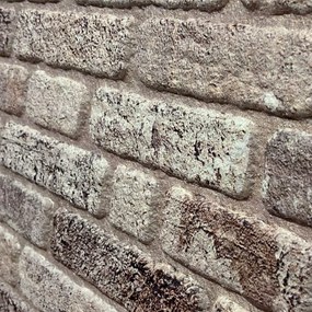 3D Wandpaneel EPS Beige 100x50x2cm | Paneli 3d wandpanelen