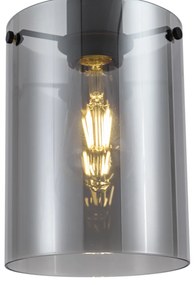 Design hanglamp zwart met smoke glas - Domo