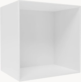 Module Mini 1001