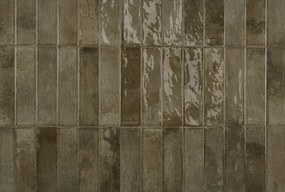 DTG Brunei tegelstroken 6.5x25cm bruin groen