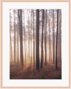 Ingelijste digitale print Into The Foggy Woods