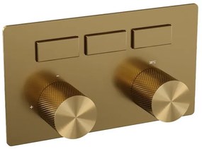 BRAUER Gold Carving - 3 functies - inbouwthermostaat - drukknoppen - in/afbouwdelen - goud geborsteld PVD 5-GG-158