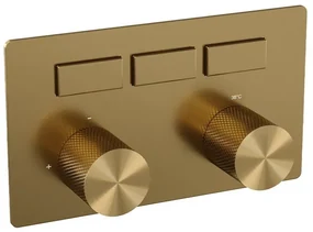 BRAUER Gold Carving - 3 functies - inbouwthermostaat - drukknoppen - in/afbouwdelen - goud geborsteld PVD 5-GG-158