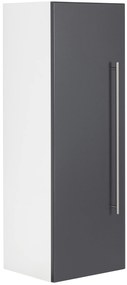 Saniclear Viva kolomkast 100x35x30cm antraciet