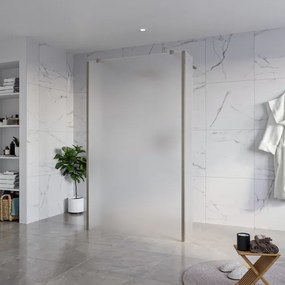 Fortifura Galeria Vrijstaande Inloopdouche - 120x200cm - Glas mat - antikalk - 8mm veiligheidsglas - 2 zijwanden 40cm - wandsteunen en hoekprofielen - Geborsteld Gunmetal PVD SW927771 2x/SW797928/SW797921 2x/SW798732 2x