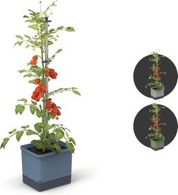 Gusta Garden TOM TOMATO - tomatenpot met waterreservoir - blauw