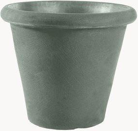 Plantenpot Camelia