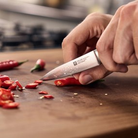 ZWILLING Professional S Schilmes, 10 cm - Professional S - ZWILLING