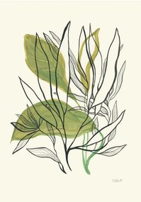 Ilustratie Foliage N.1, Catalina Somolinos