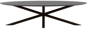 Goossens Excellent Eettafel Gs-1302, Ovaal 280 x 130 cm