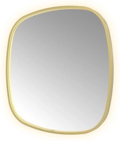 Hotbath &More Contour spiegel deens ovaal 80x80cm geborsteld messing PVD