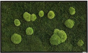 Handgemaakte wanddecoratie Tree met lijst