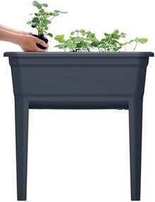 Prosperplast Respana Planter Ecoline Kweektafel - Antraciet - 75 x 37 cm - Met deksel