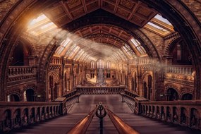 Foto Natural History Museum - London, Hernan Calderon Velasco