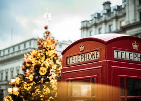Foto An Illuminated Christmas Tree and Red, Tim Grist Photography