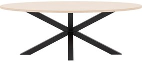Goossens Eettafel Stone, Ovaal 220 x 120 cm