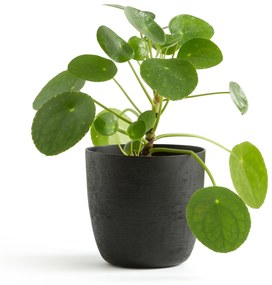 Ronde bloempot in aluminiumØ14 cm, Anaïa
