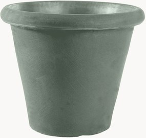 Plantenpot Camelia