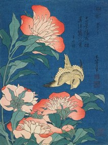 Kunstreproductie Peonies and canary (1834), Katsushika Hokusai