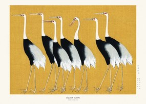 Studio Collection - Kunstdruk Japanese Red Crown Crane, (40 x 30 cm)