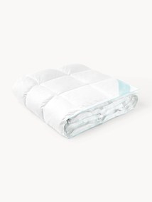 Puur donzen dekbed Premium, licht