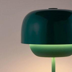 Lamp van gekleurd ijzer, Kinoko