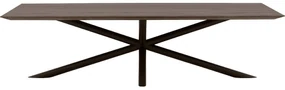 Goossens Excellent Eettafel Gs-1302, 280 x 110 cm rechthoekig