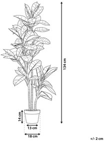 Kunstplant FICUS ELASTICA Beliani