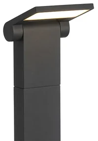 Moderne buitenpaaltje antraciet 60 cm incl. LED IP54 - Zane Modern IP54 Buitenverlichting