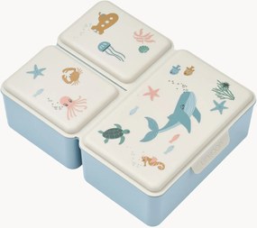 Kinderlunchbox Driss
