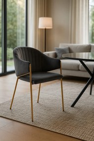 Elegan Stoel Fluweel