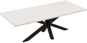 Goossens Eettafel Stone, Rechthoekig 220 x 110 cm