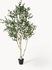 Kunstplant Berk Green