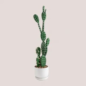 Cactus Kunst Opuntia 60 Cm ↑60 Cm - Sklum