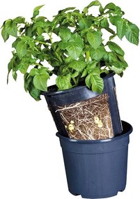 Esschert Design aardappelkweekpot - blauw - 29,6cm x 29,6cm x 27cm